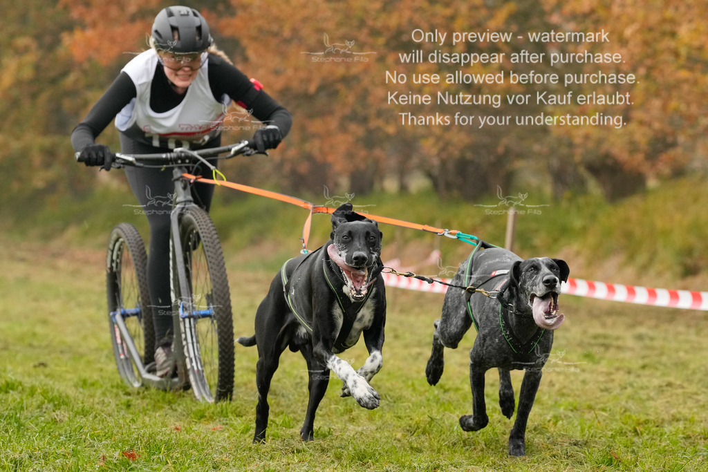 AusschnitteSa-181 | stephaniefillaphotographie - Realisiert mit Pictrs.com