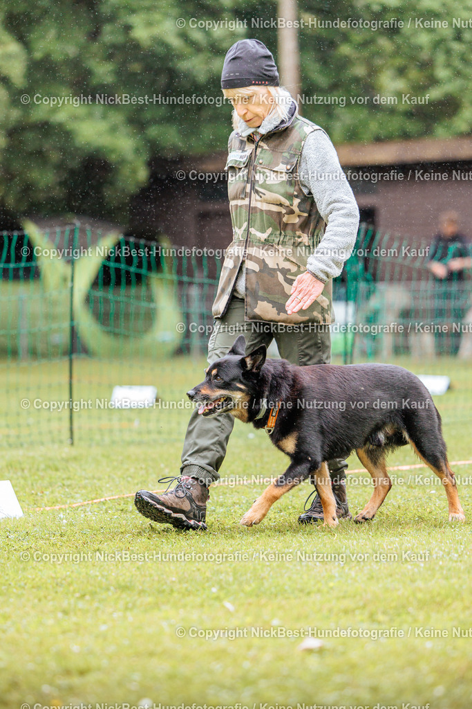 RO-Blumenthal-2026-Nickbest-Hundefotografie-4021 | Dein Hund! Dein Moment! Deine Erinnerungen! Hundefotografie in Bremen Blumenthal. Ich fange die besonderen Momente deines Vierbeiners ein – ob Indoor mit Blitzanlage oder in der freien Natur. Sicher dir dein Moment und dein Termin für eure Erinnerungen.