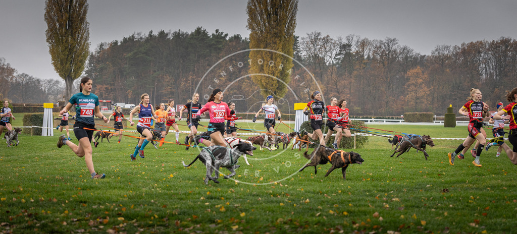CaniXpix_DV3A8797 | Hundefotografie, Tierfotograf, Pfotenfotografie, Fotoshooting Hund, Hunde Portrait, Hundesport, Hundeportraits, Heideshooting, Hunde, Sportfotograf, Hundefotograf, Turnierhundsport, THS,  - Realisiert mit Pictrs.com