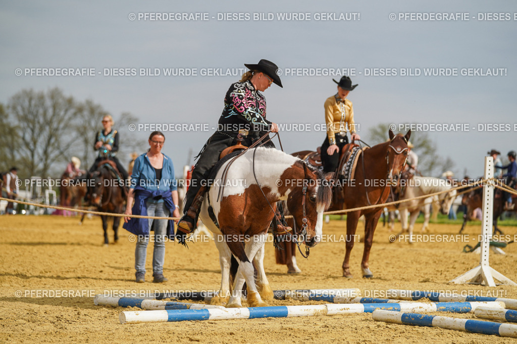 DSC02097 | Pferdegrafie