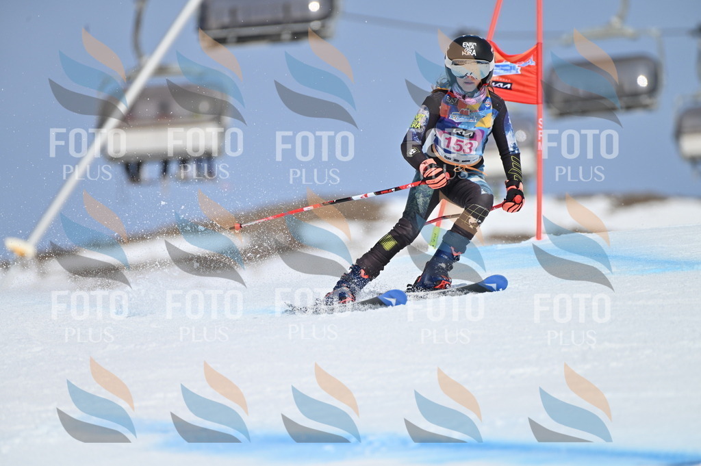 BGV_0098 | holidayphoto