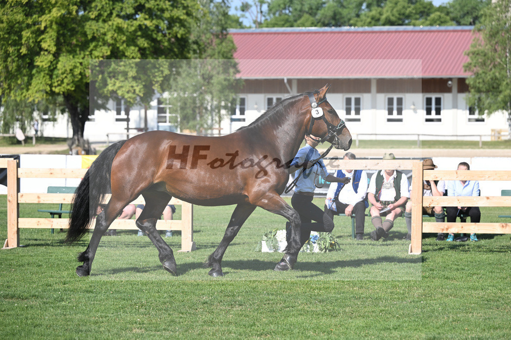 Kat-Nr. 3 Rosalie_Schaffner_20230037 | hf-fotografie - Realisiert mit Pictrs.com