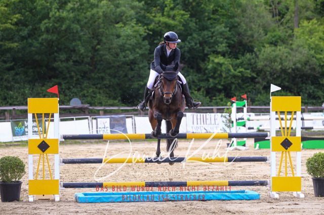 DKP42108 | Turniersportfotografie; Pferdefotografie; Dressurfotografie