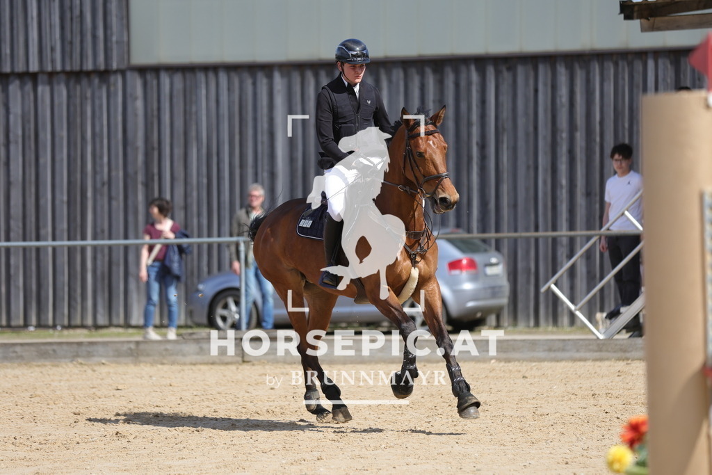 0P6A9196 | Willkommen bei Brunnmayr - Design & Fotografie – Ihrem Spezialisten für Reitturniere und Pferdeveranstaltungen in Oberösterreich, Salzburg und Bayern! Seit über 17 Jahren sind wir leidenschaftlich dabei.