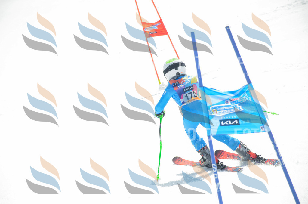 _ELE6585 | holidayphoto