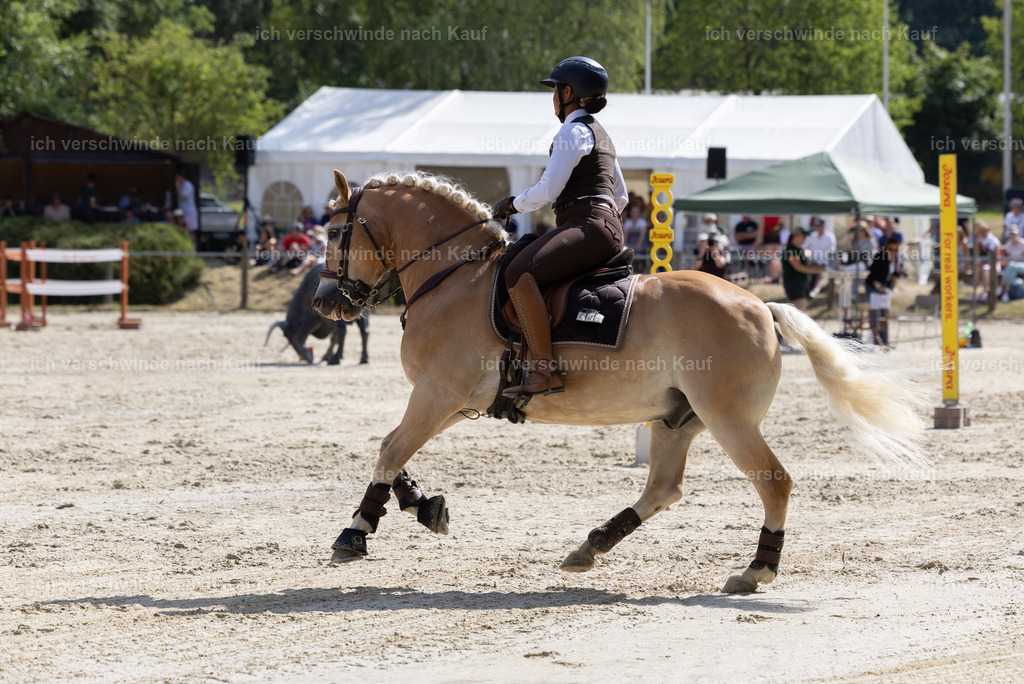 WS_SPEED_1_KerstinBernhardt-4 | working equitationturnier fotograf videograf stoibphotography marixx film working equitation deutschland reitsport turnierfotografie eventfotografie equestrian events