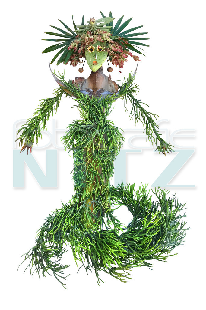 29 | Nitz Fotografie aus Montabaur bietet Ihnen hier die Möglichkeit Bilder auszusuchen und zu bestellen. 