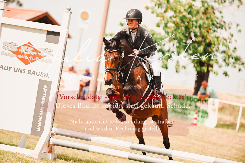 DSC_6901 | Pferde- und Turnierfotografie in Westsachsen. Pferdeportraits, Auftragszeichnungen und intuitive Kunst.