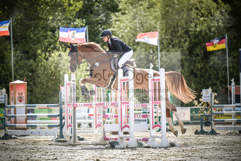 DOS_7743 | Entdecke hochwertige Reitturnierfotos von Foto Oger. Professionell, emotional und authentisch – jetzt Lieblingsmomente im Shop bestellen. - Realisiert mit Pictrs.com