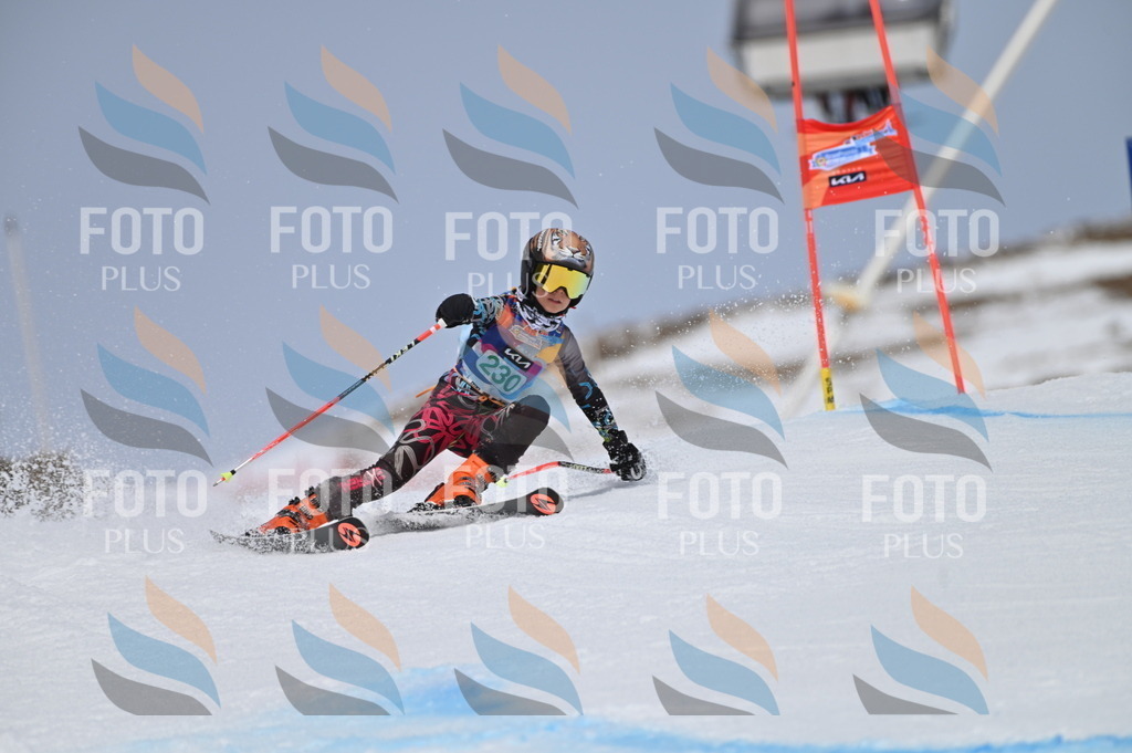 BGV_4546 | holidayphoto