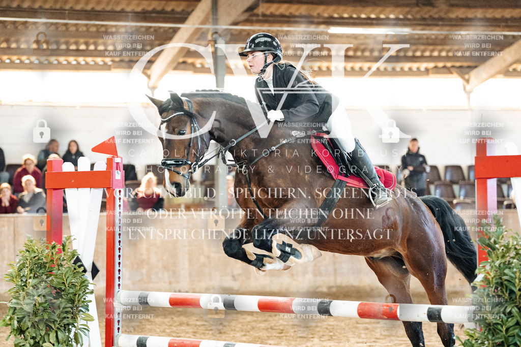 CK904535 | Turnierfotografie Pferdefotografie Trier Rheinland-Pfalz Pferdesport Reitsport Tierfotografie Sportfotografie Pferdevideo Pferdevideografie Equestrianvideography equestrianphotography  - Realisiert mit Pictrs.com