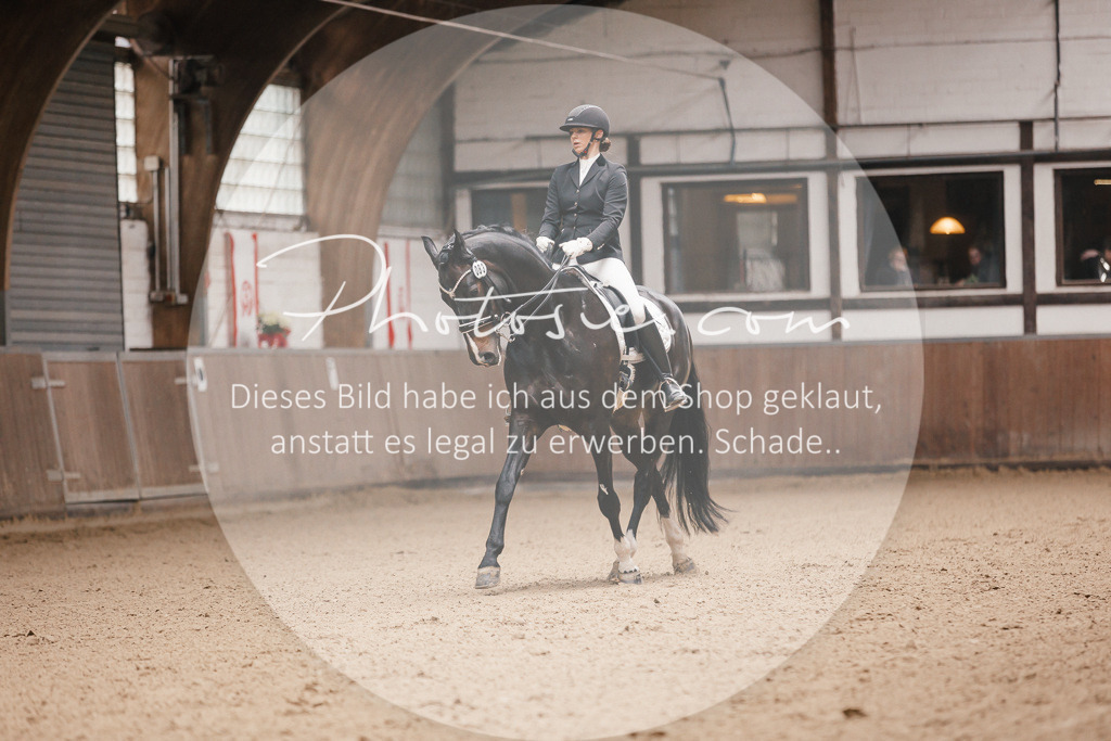 3I6A8722 | Stimmungsvolle Portraits und Reitsportfotografie im Ruhrgebiet und im Münsterland.

Pferdefotografie, Hundefotografie, Tierfotografie, Reportagen, Portraits von Tier und Mensch, Turnierfotografie in Bochum, Recklinghausen, Marl, Haltern am See, Dülmen.. - Realisiert mit Pictrs.com