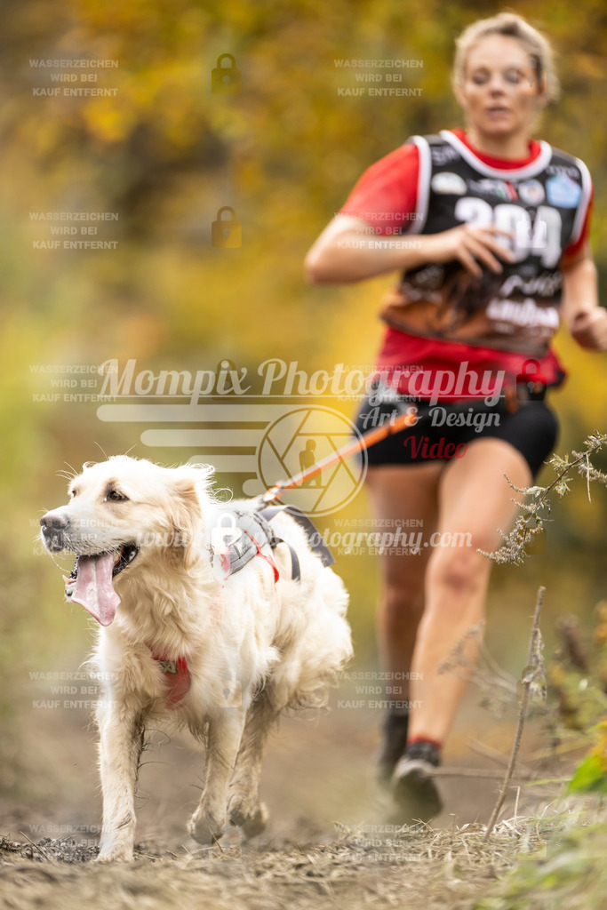 MompixPhotography_ICF_WC_2024_SA_Run_-168 | PayLife