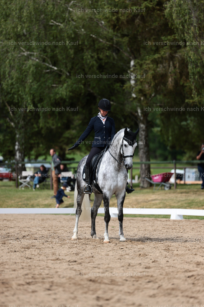 Masterclass_stoibphotography_C2_L5073.JPG | working equitationturnier fotograf videograf stoibphotography marixx film working equitation deutschland reitsport turnierfotografie eventfotografie equestrian events