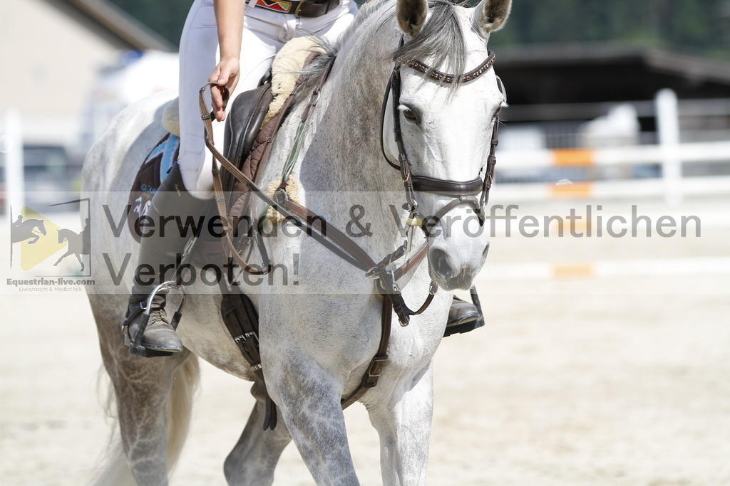 _MG_5208 | equestrian-live-com