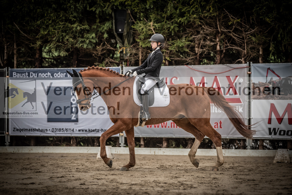 DSC_0161 | equestrian-live-com