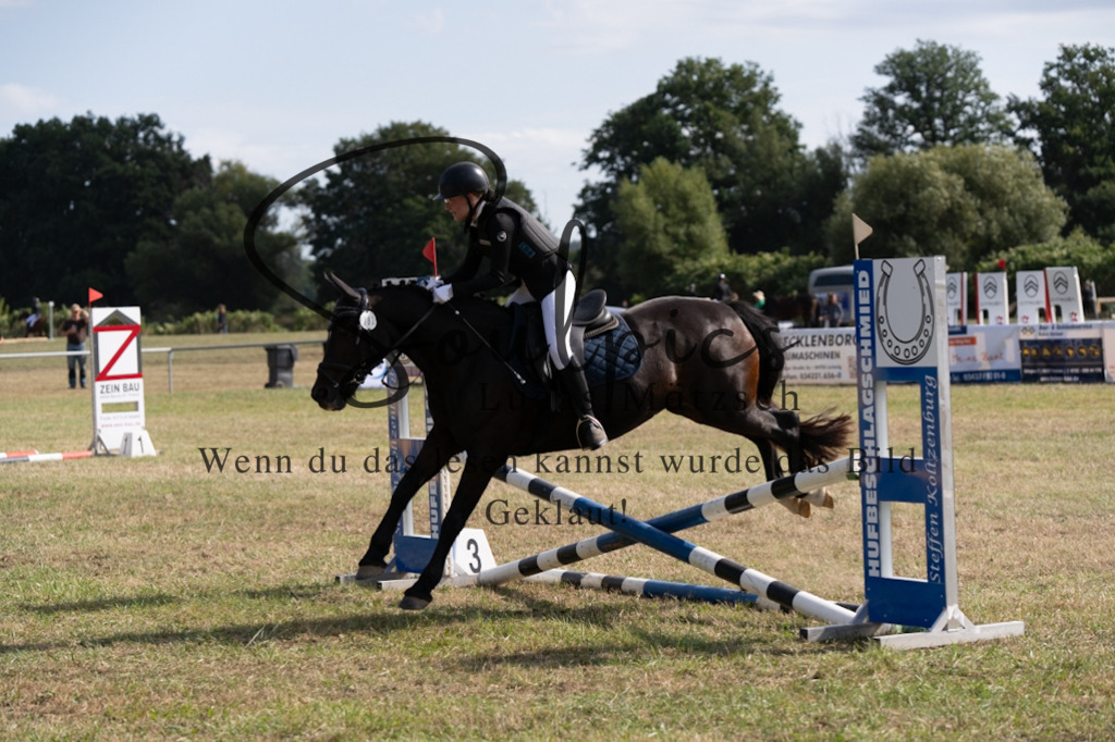 A7V08572 | Pferdefotograf