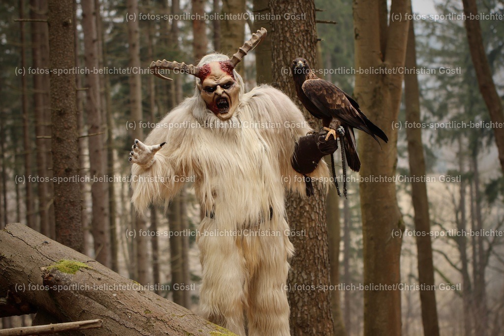 IMG_1576 | fotos-sportlich-belichtet - Realized with Pictrs.com