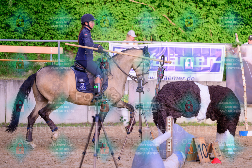 02052026-Giesenbach-03-Speedtrail-1355 | Fokus Hufschlag Fotografie - Realisiert mit Pictrs.com