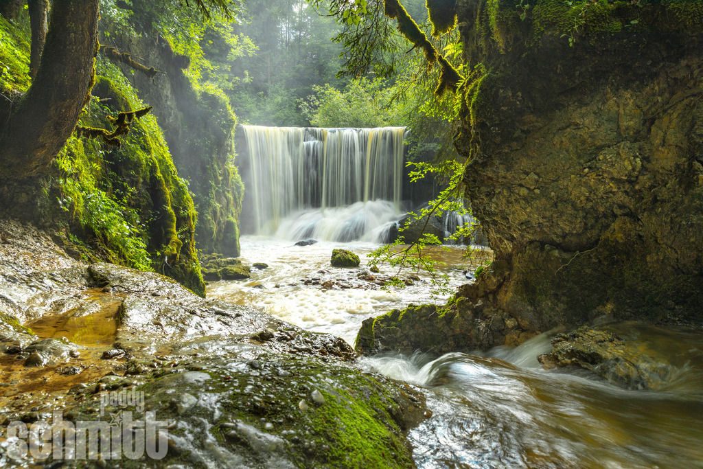 PS-Natur-2026-163 | Entdecke die größte Bildgalerie der Region mit Fotografien aus dem Allgäu, der Bodenseeregion, Oberschwaben, dem Donautal und der Schwäbischen Alb. Landschaften, Luftaufnahmen und Reisefotografie als Wandbild und Fotokunst. - Realisiert mit Pictrs.com