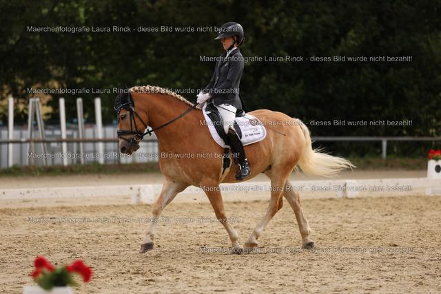 HG9A0765 | laurarinckfotografie - Realisiert mit Pictrs.com
