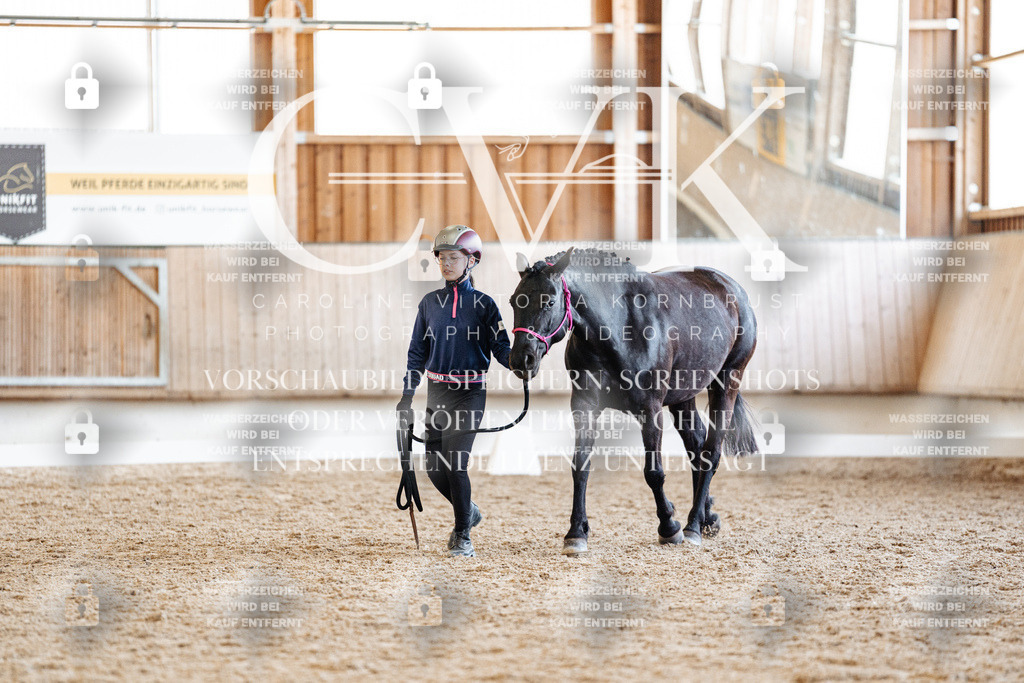 CK906787 | Turnierfotografie Pferdefotografie Trier Rheinland-Pfalz Pferdesport Reitsport Tierfotografie Sportfotografie Pferdevideo Pferdevideografie Equestrianvideography equestrianphotography  - Realisiert mit Pictrs.com
