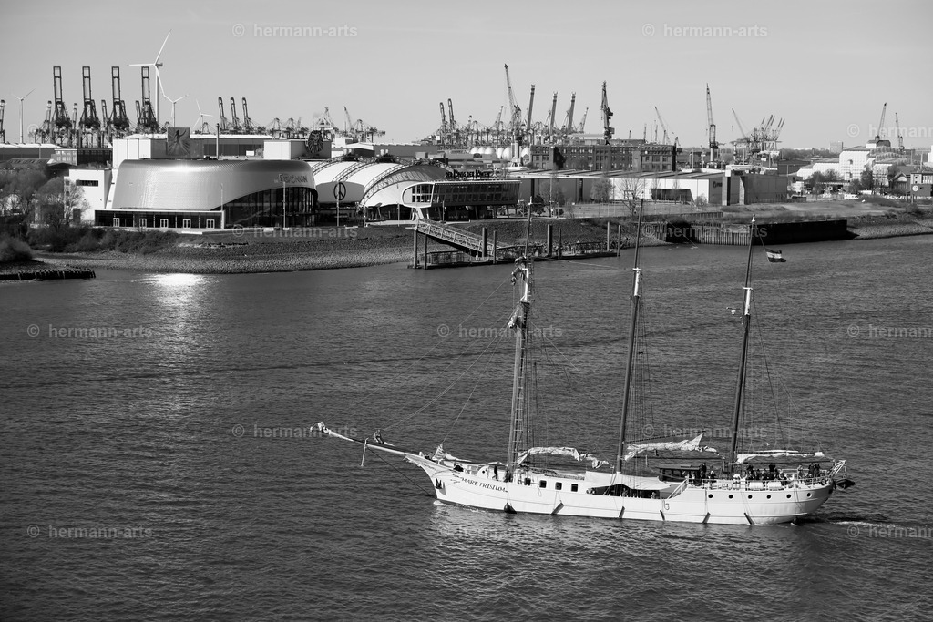 Hamurg_Arts-009 | Photo Foto Kunst Art schwarzweiss Bilder Rheine Münster Berlin Blumen 