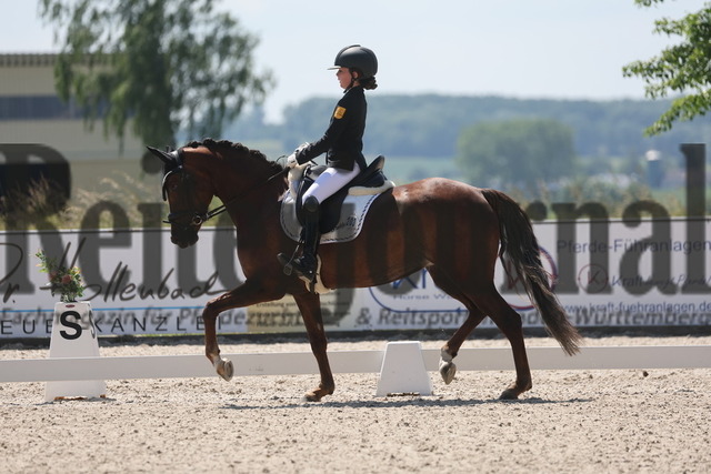 Rot am See_2024_Prfg.Nr.21_Qual.BCH_und_LCH_5-jähr.Ponys_Matilda Buchbach_Dundees Quadriga (6) | Alle Fotos der Reiterjournal Fotografin Doris Matthaes im Reiterjournal Online-Fotoshop. - Realisiert mit Pictrs.com