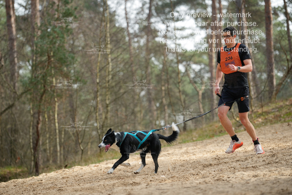 LangeCross-126 | stephaniefillaphotographie - Realisiert mit Pictrs.com