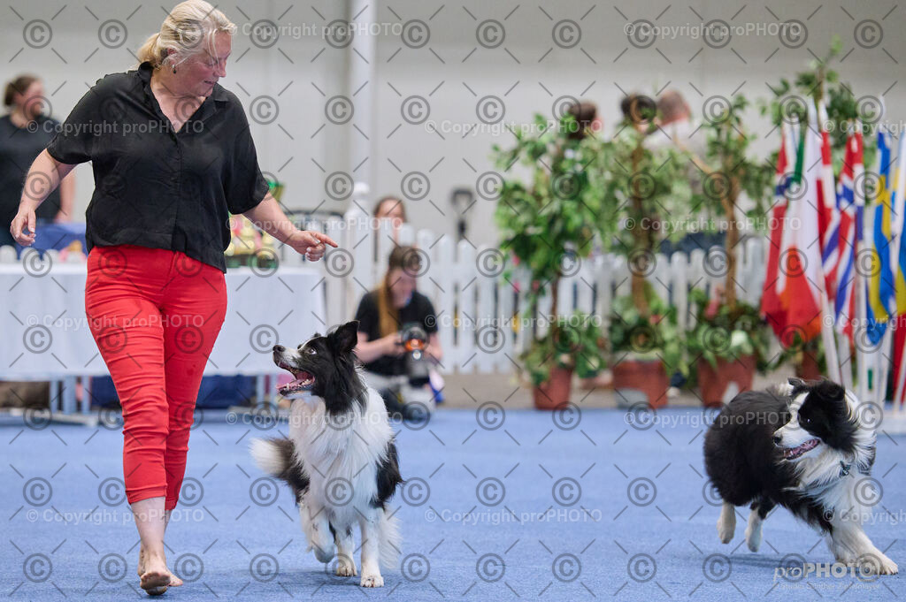 202406_ÖKV-IHA-Tulln24_DSC_4362 | proPHOTO - Realisiert mit Pictrs.com