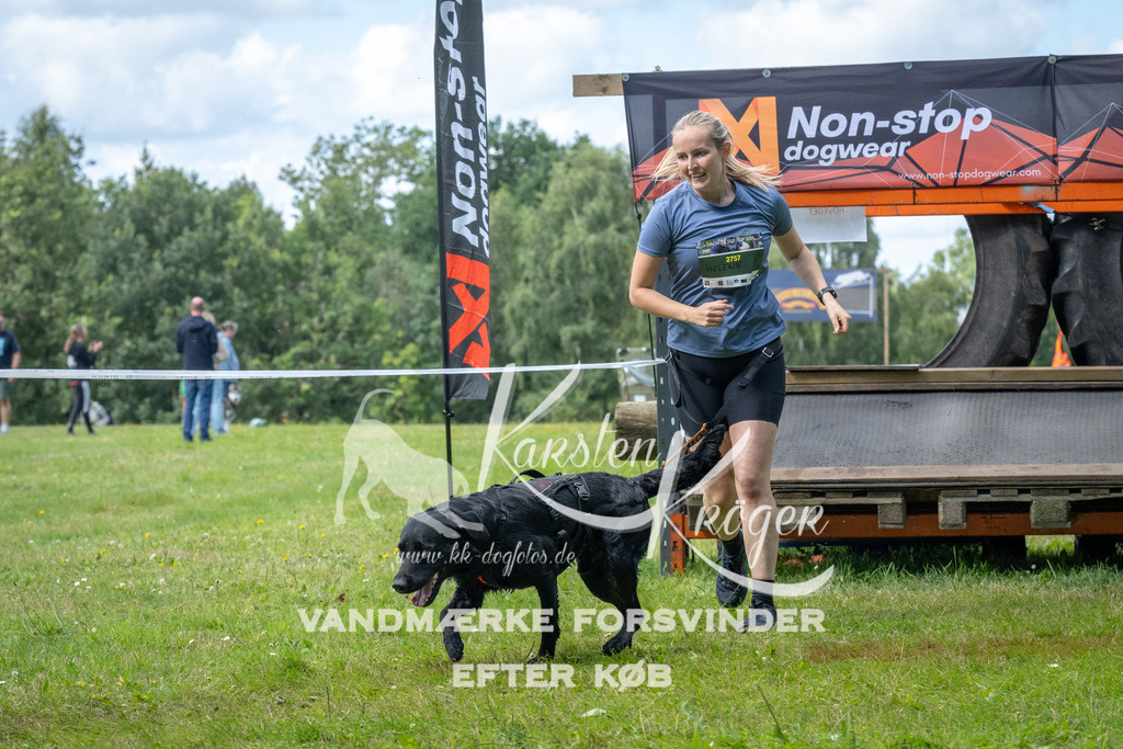 1531_ZZ93081 | kk-dogfotos