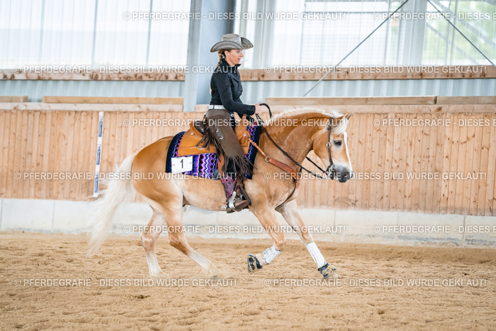 DSC07482 | Pferdegrafie