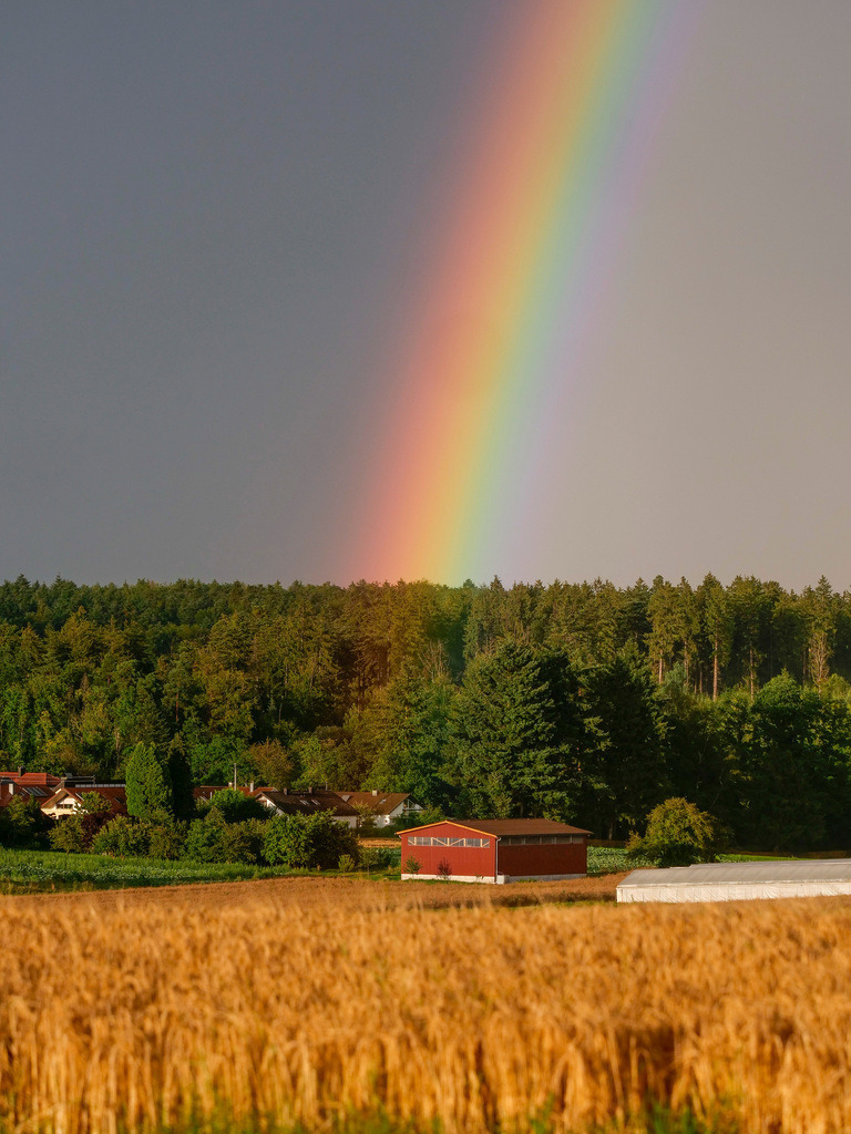 Regenbogen | Rutesheim Perouse - nach starken Regenfällen kam ein Regenbogen im Sonnenuntergang sichtbar über Perouse heraus - Realisiert mit Pictrs.com