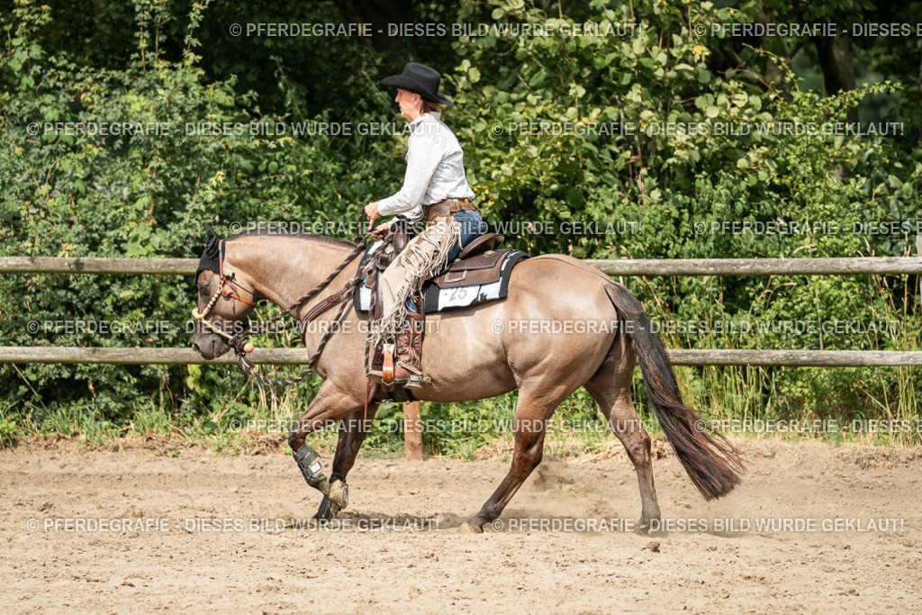 DSC02320 | Pferdegrafie