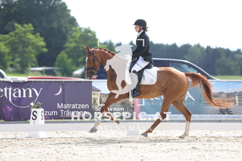 0P6A5006 | Willkommen bei Brunnmayr - Design & Fotografie – Ihrem Spezialisten für Reitturniere und Pferdeveranstaltungen in Oberösterreich, Salzburg und Bayern! Seit über 17 Jahren sind wir leidenschaftlich dabei.