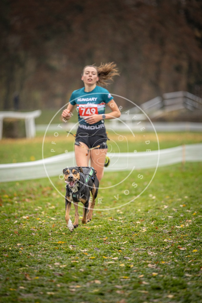 CaniXpix_DV3A9360 | Hundefotografie, Tierfotograf, Pfotenfotografie, Fotoshooting Hund, Hunde Portrait, Hundesport, Hundeportraits, Heideshooting, Hunde, Sportfotograf, Hundefotograf, Turnierhundsport, THS,  - Realisiert mit Pictrs.com