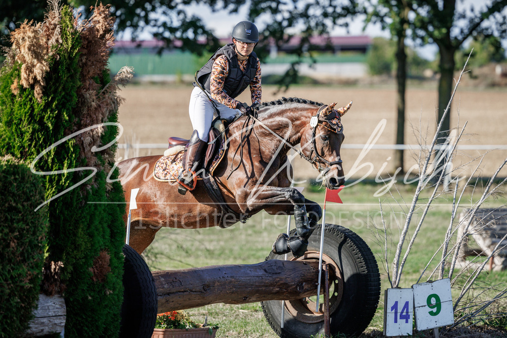 20260905-_3LI0618 | Tierfotografie Pferde, Hunde, Katzen, Haustiere.
Turnierfotografie Reitturniere, Reiten, Springreiten, Dressur in Hanau, dem Main-Kinzig-Kreis und dem Rhein-Main- Gebiet um Frankfurt