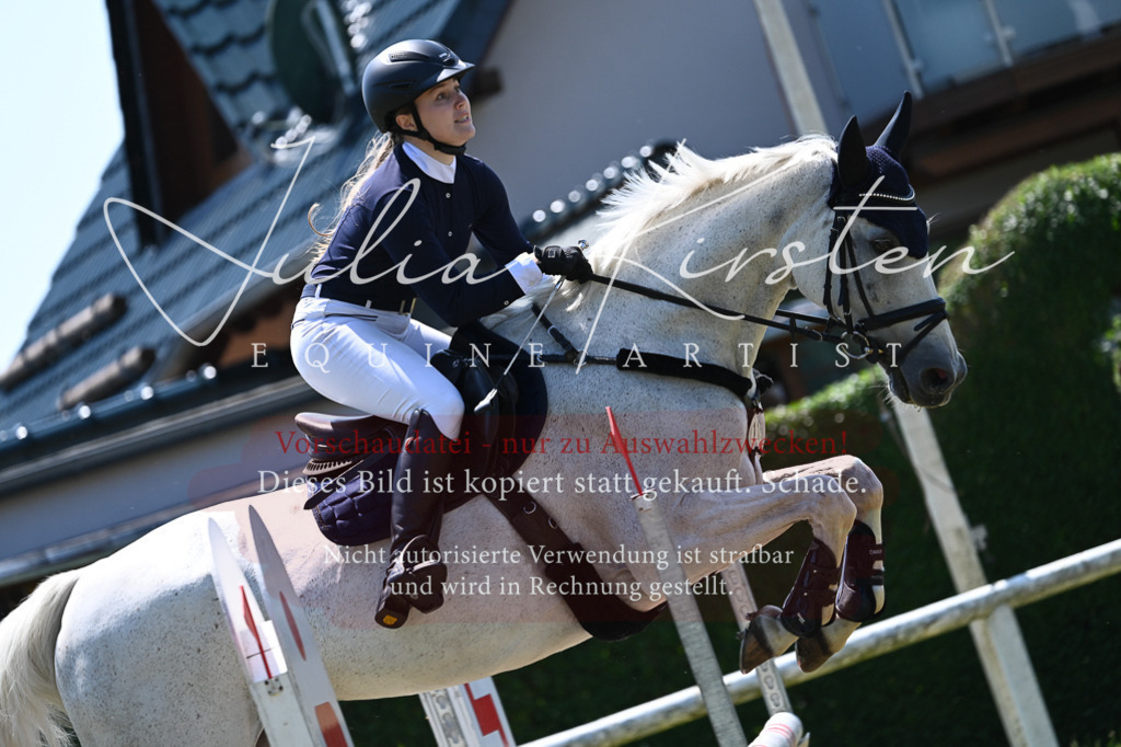 DSC_0583 | Pferde- und Turnierfotografie in Westsachsen. Pferdeportraits, Auftragszeichnungen und intuitive Kunst.