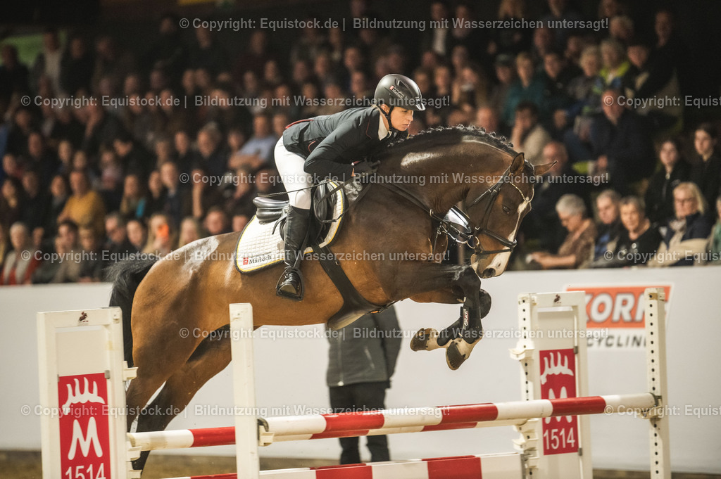 20240302_Hengstvorstellung_Marbach_TOMsPiC_1374 | equistock