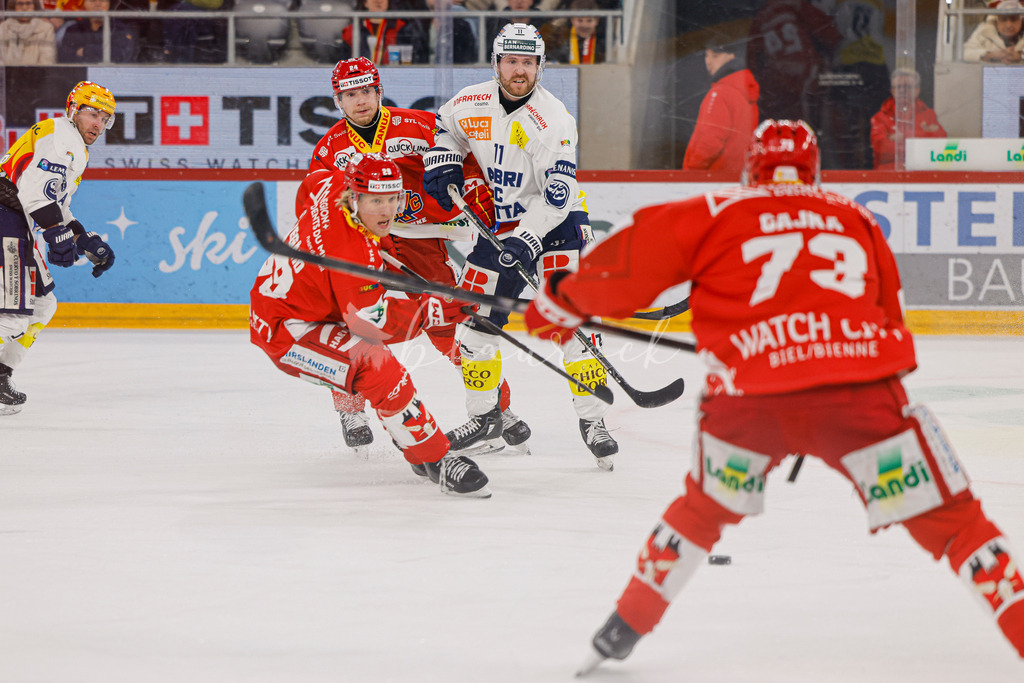 EHCB vs HCAP 20260115_wb-4418 | Sportbilder, Sportfotograf, Hochzeits- und Eventfotografin, Flugshows, Portraits und Tiershooting, Aviation, Downhill, Nationalleague, Swissleague, International