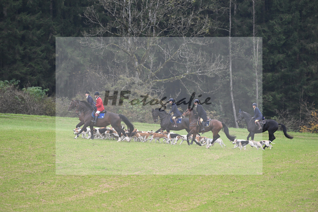 5622094 | hf-fotografie - Realisiert mit Pictrs.com