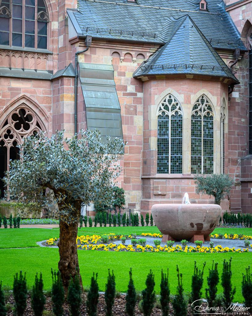Der Hohe Dom St. Martin zu Mainz | Der Hohe Dom St. Martin zu Mainz