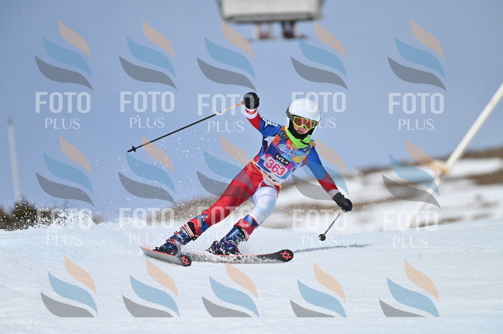 BGV_3890 | holidayphoto