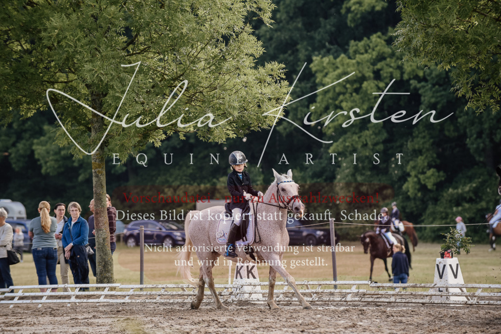 DSC_8350 | Pferde- und Turnierfotografie in Westsachsen. Pferdeportraits, Auftragszeichnungen und intuitive Kunst.