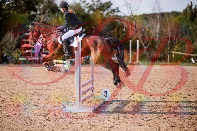 2026_10_03_Siefer-Hof_161028_Z81_89963062 | Professionelle Reitsport-, Turnier- und Eventfotografie von Robert Broda. Galerien mit ausgewählten und bearbeiteten Bildern direkt online ansehen und bestellen.