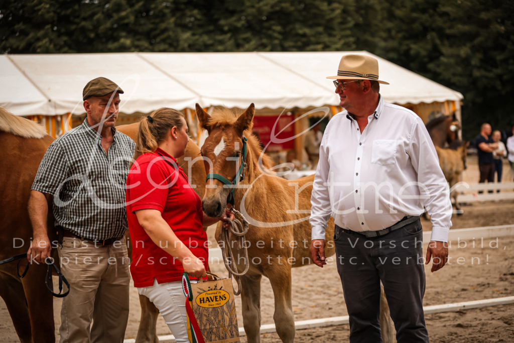 SaHF00112 | Leoni Ertmer Photography - Realisiert mit Pictrs.com