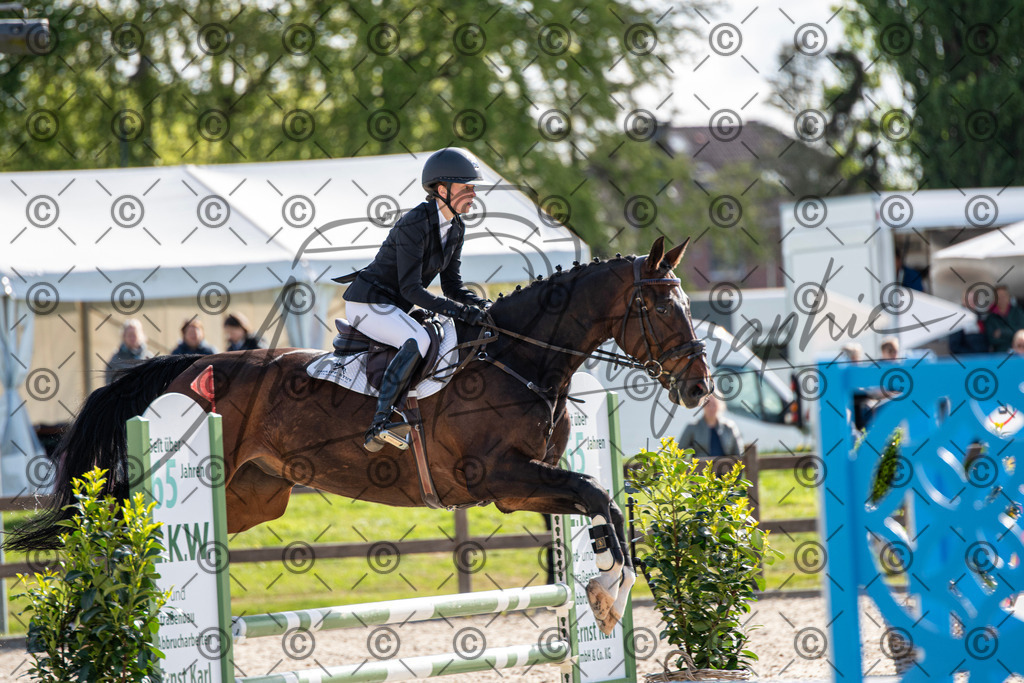 KPT_4588 | andre_photographic