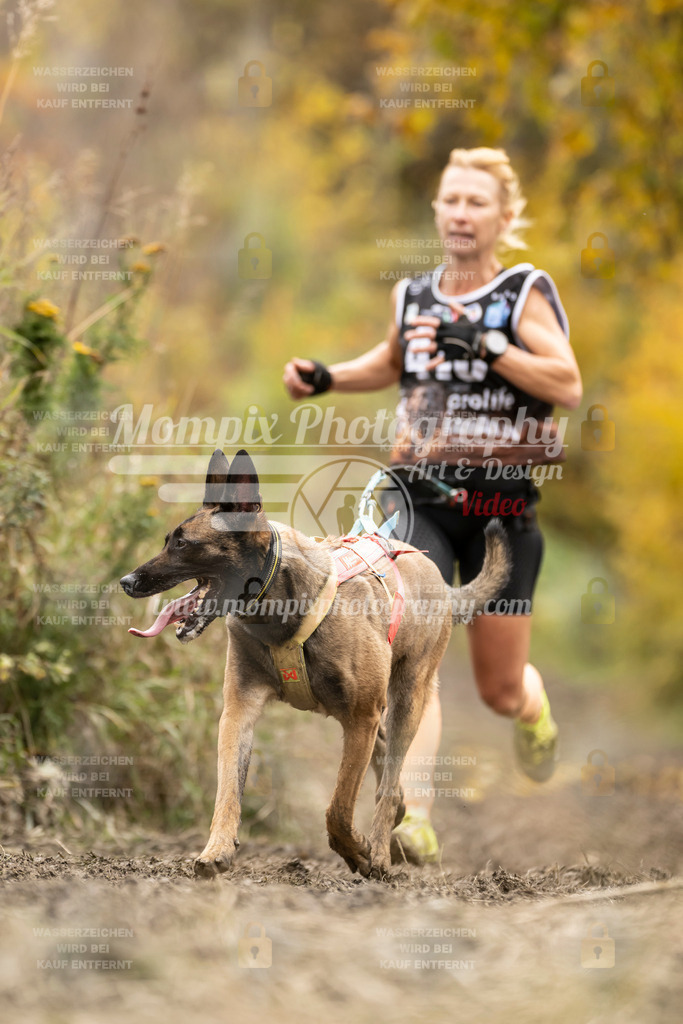 MompixPhotography_ICF_WC_2024_SA_Run_-404 | PayLife