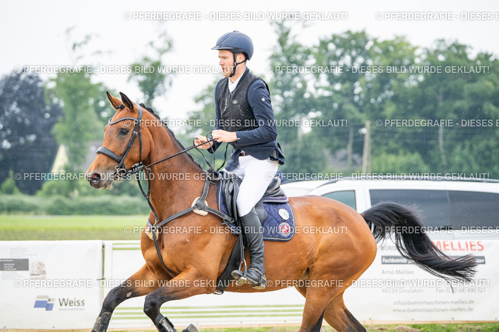 DSC09687 | Pferdegrafie