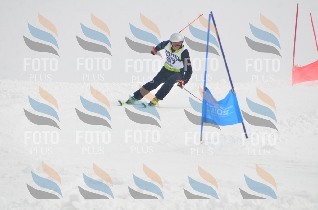 A6129 | holidayphoto